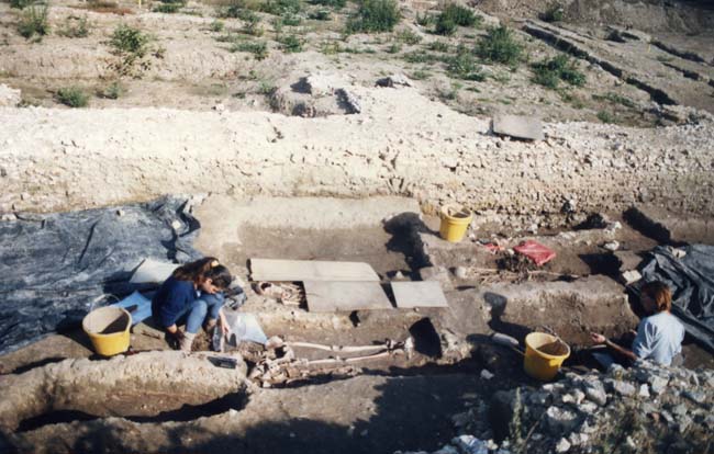 Merton Priory 1987 88 Melanie Bliss Rob Nielsen