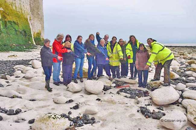Bell Toute update photo Citizan 800