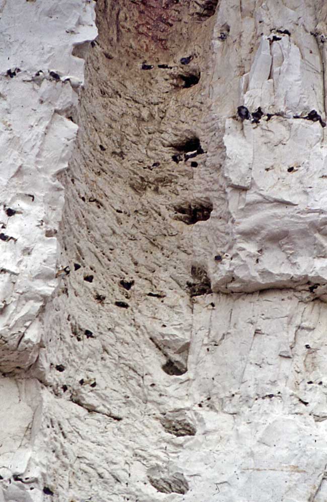 Photo showing even more detail