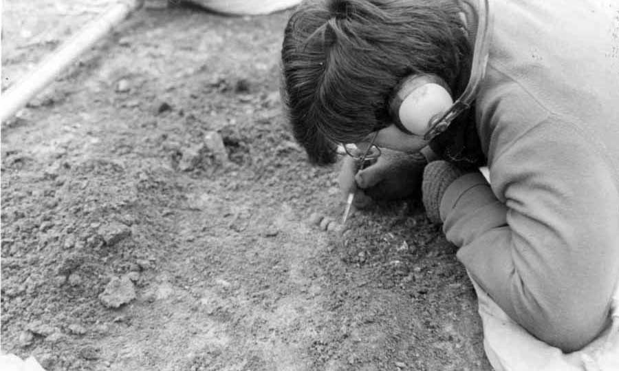Mark Steele excavating carefully