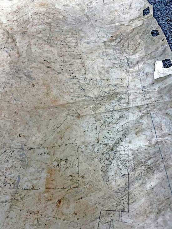 DB10C6DA 23B4 4487 88DD 728794551231 plan 550w